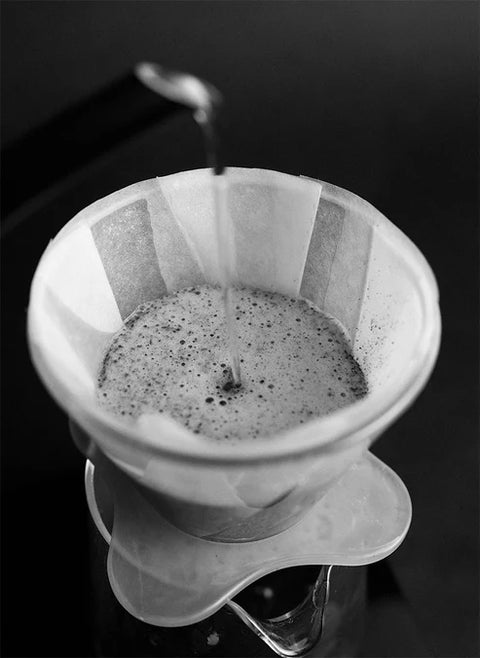 OREA - Filtre Orea Brewer